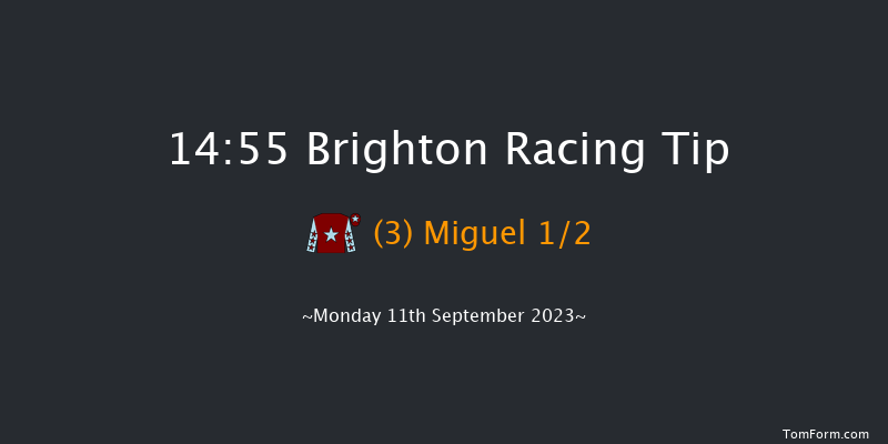 Brighton 14:55 Maiden (Class 5) 7f Mon 4th Sep 2023