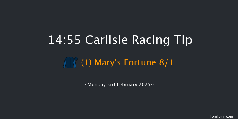 Carlisle  14:55 Handicap Chase (Class 4) 21f Sun 15th Dec 2024
