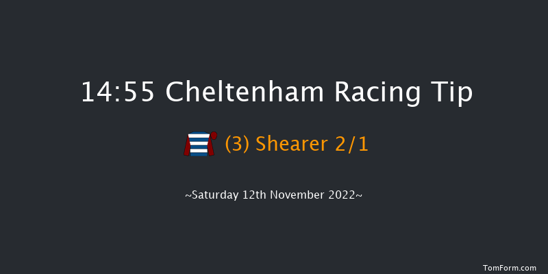 Cheltenham 14:55 Handicap Hurdle (Class 2) 24f Fri 11th Nov 2022