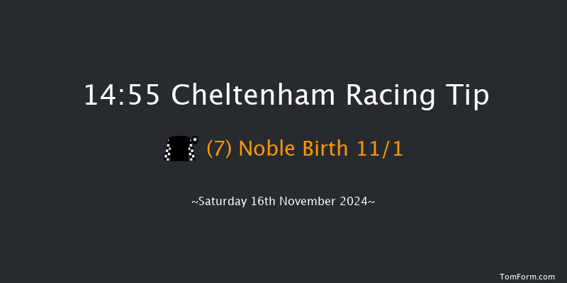 Cheltenham  14:55 Handicap Hurdle (Class 2) 24f Fri 15th Nov 2024