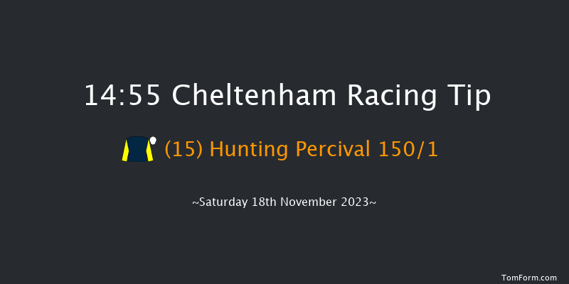 Cheltenham 14:55 Handicap Hurdle (Class 2) 24f Fri 17th Nov 2023