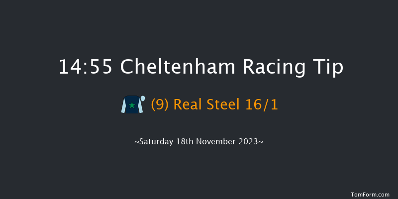 Cheltenham 14:55 Handicap Hurdle (Class 2) 24f Fri 17th Nov 2023