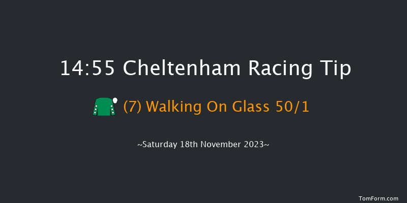 Cheltenham 14:55 Handicap Hurdle (Class 2) 24f Fri 17th Nov 2023