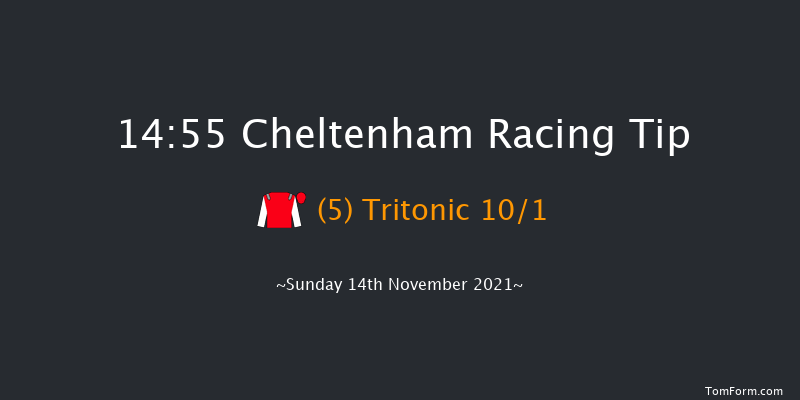 Cheltenham 14:55 Handicap Hurdle (Class 1) 16f Sat 13th Nov 2021