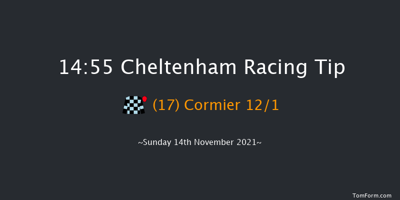 Cheltenham 14:55 Handicap Hurdle (Class 1) 16f Sat 13th Nov 2021