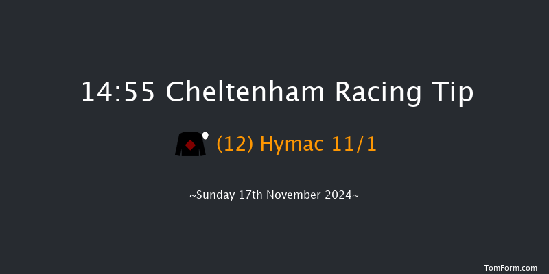 Cheltenham  14:55 Handicap Chase (Class 1) 27f  Sat 16th Nov 2024