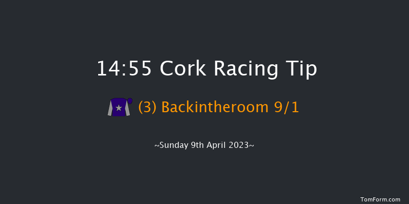 Cork 14:55 Beginners Chase 20f Sat 8th Apr 2023