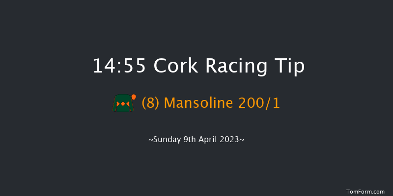 Cork 14:55 Beginners Chase 20f Sat 8th Apr 2023