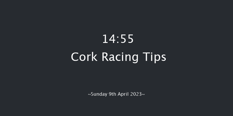 Cork 14:55 Beginners Chase 20f Sat 8th Apr 2023