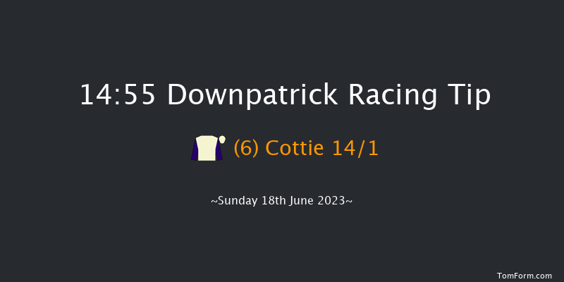 Downpatrick 14:55 Handicap Hurdle 19f Sat 17th Jun 2023