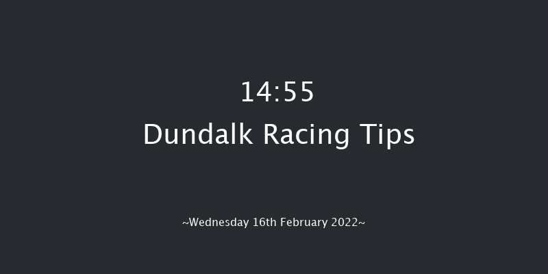Dundalk 14:55 Handicap 11f Fri 11th Feb 2022