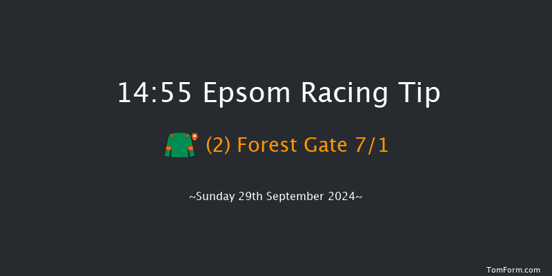 Epsom  14:55 Stakes (Class 4) 10f  Thu 12th Sep 2024