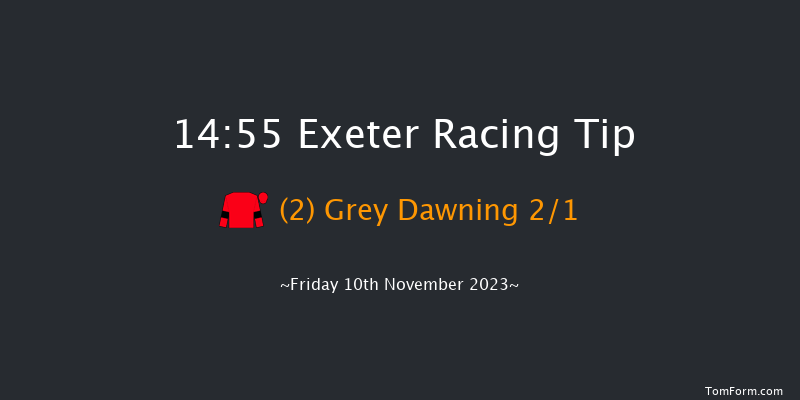 Exeter 14:55 Maiden Chase (Class 2) 24f Tue 24th Oct 2023