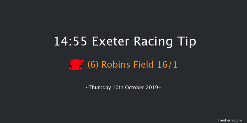 Exeter 14:55 Maiden Hurdle (Class 4) 18f Thu 1st Jan 1970