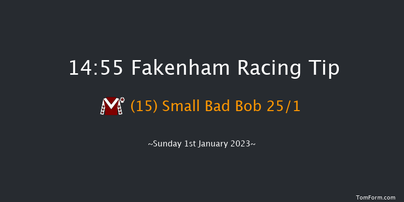 Fakenham 14:55 Handicap Hurdle (Class 3) 20f Tue 15th Nov 2022