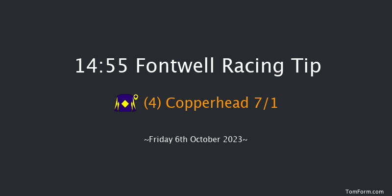 Fontwell 14:55 Handicap Chase (Class 2) 22f Sun 10th Sep 2023