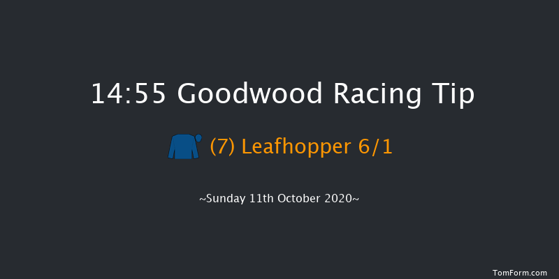 tote / British EBF October Fillies' Stakes (Listed) Goodwood 14:55 Listed (Class 1) 7f Wed 23rd Sep 2020