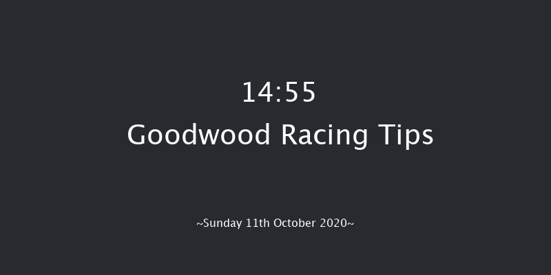 tote / British EBF October Fillies' Stakes (Listed) Goodwood 14:55 Listed (Class 1) 7f Wed 23rd Sep 2020