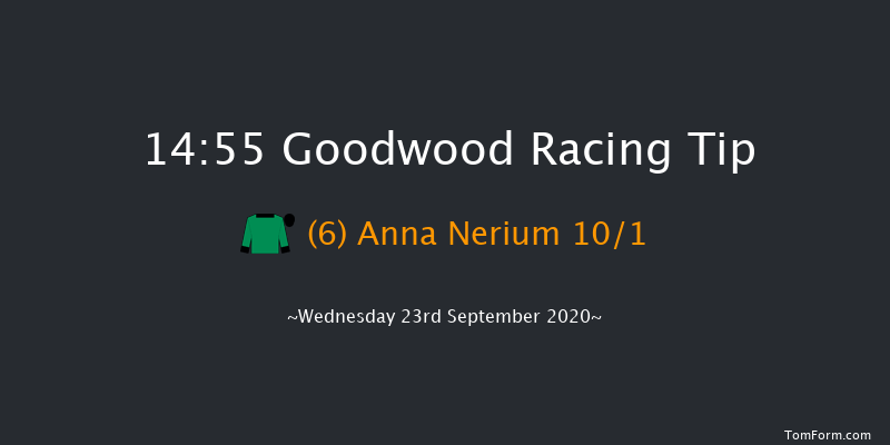 tote Foundation Stakes (Listed) Goodwood 14:55 Listed (Class 1) 10f Tue 8th Sep 2020