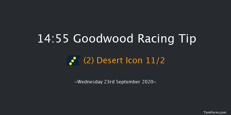 tote Foundation Stakes (Listed) Goodwood 14:55 Listed (Class 1) 10f Tue 8th Sep 2020