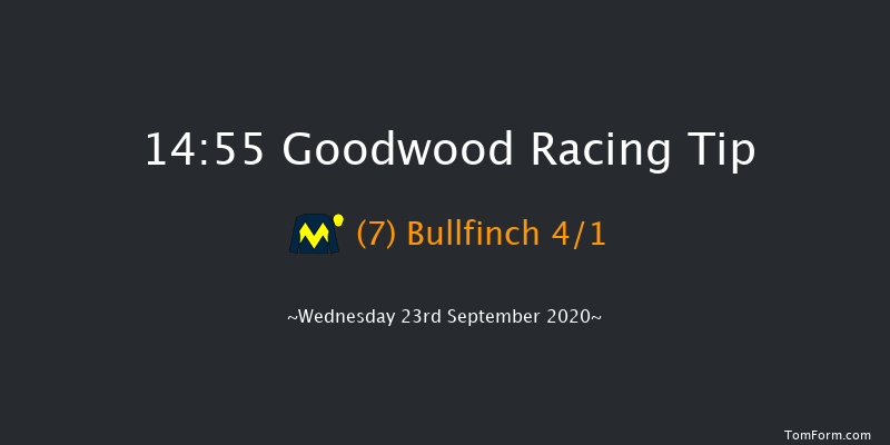 tote Foundation Stakes (Listed) Goodwood 14:55 Listed (Class 1) 10f Tue 8th Sep 2020