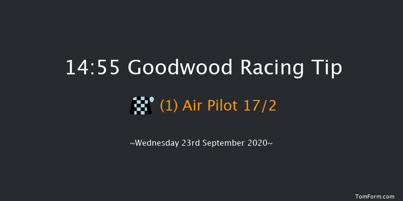 tote Foundation Stakes (Listed) Goodwood 14:55 Listed (Class 1) 10f Tue 8th Sep 2020