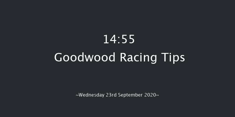 tote Foundation Stakes (Listed) Goodwood 14:55 Listed (Class 1) 10f Tue 8th Sep 2020