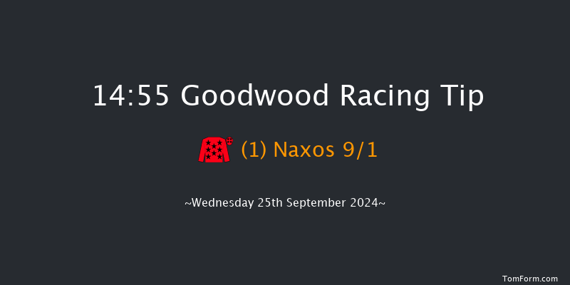 Goodwood  14:55 Handicap (Class 2) 8f Tue 3rd Sep 2024