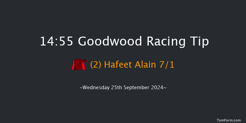 Goodwood  14:55 Handicap (Class 2) 8f Tue 3rd Sep 2024