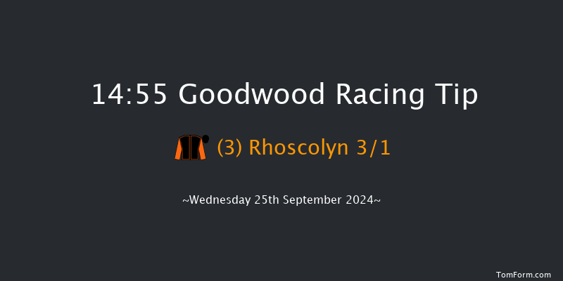 Goodwood  14:55 Handicap (Class 2) 8f Tue 3rd Sep 2024