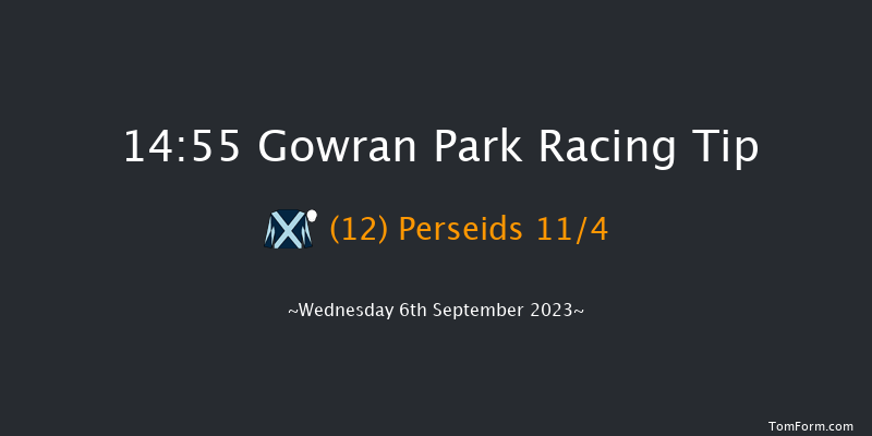 Gowran Park 14:55 Maiden 7f Wed 16th Aug 2023