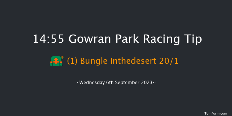 Gowran Park 14:55 Maiden 7f Wed 16th Aug 2023