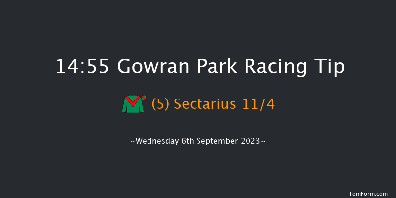 Gowran Park 14:55 Maiden 7f Wed 16th Aug 2023
