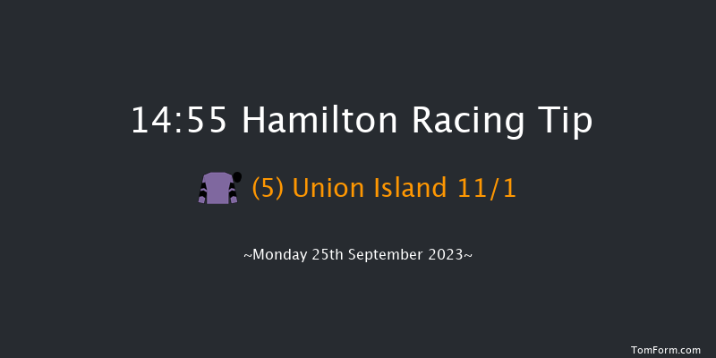 Hamilton 14:55 Handicap (Class 4) 5f Sun 24th Sep 2023