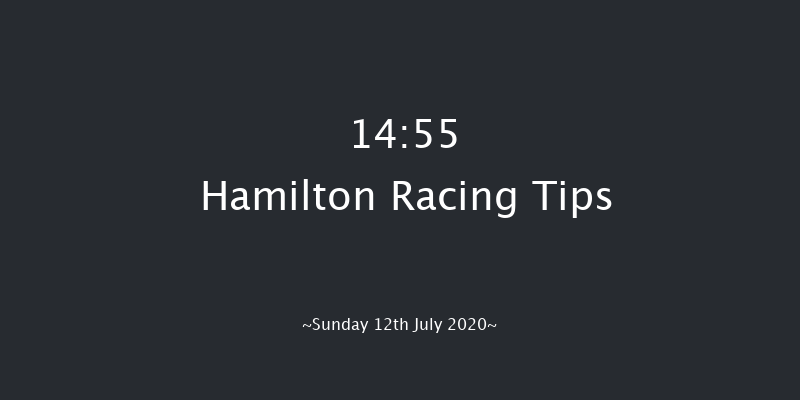 Good To Go On RacingTV Handicap Hamilton 14:55 Handicap (Class 6) 11f Fri 3rd Jul 2020