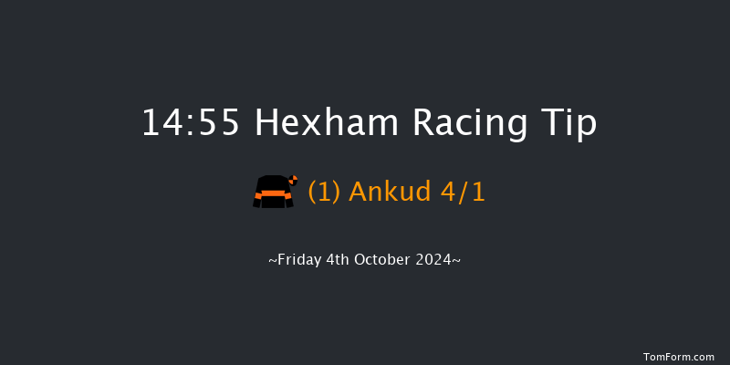 Hexham  14:55 Maiden Hurdle (Class 4) 16f Sun 23rd Jun 2024