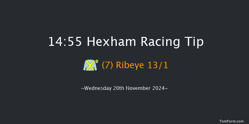 Hexham  14:55 Handicap Chase (Class 5) 20f Fri 8th Nov 2024