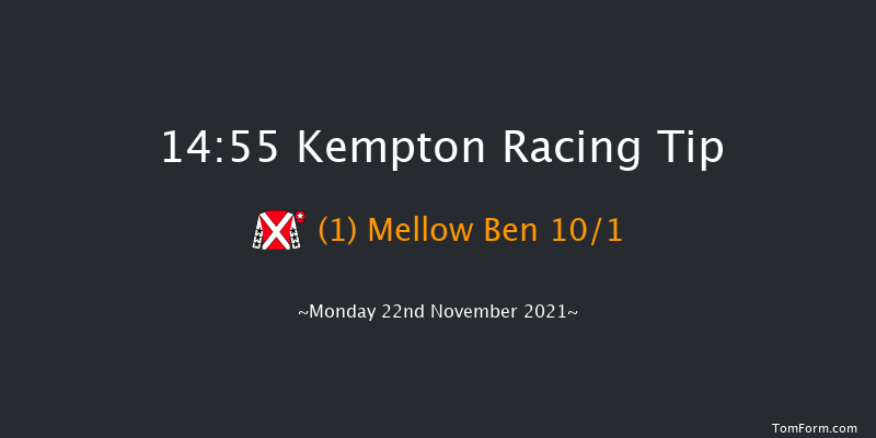 Kempton 14:55 Handicap Hurdle (Class 4) 24f Fri 12th Nov 2021