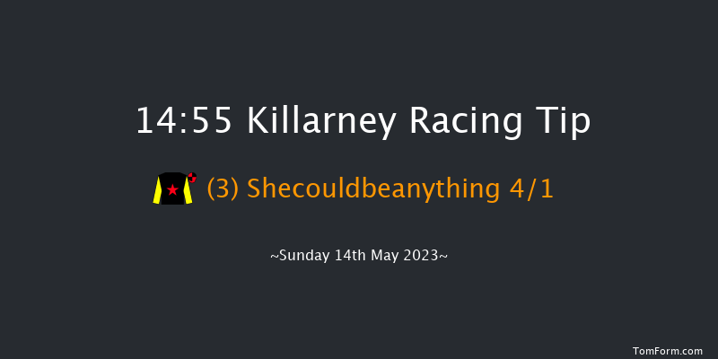 Killarney 14:55 Conditions Hurdle 17f Mon 10th Oct 2022