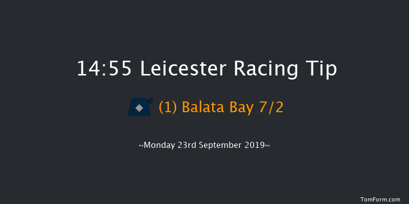 Leicester 14:55 Seller (Class 5) 7f Tue 10th Sep 2019