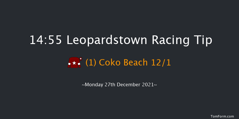 Leopardstown 14:55 Handicap Chase 24f Sun 26th Dec 2021
