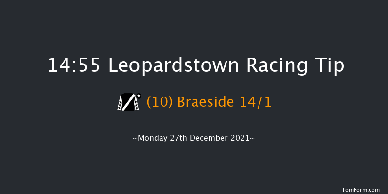 Leopardstown 14:55 Handicap Chase 24f Sun 26th Dec 2021