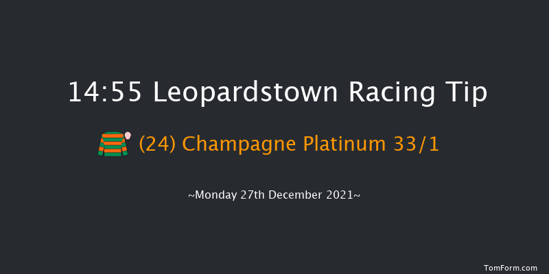 Leopardstown 14:55 Handicap Chase 24f Sun 26th Dec 2021