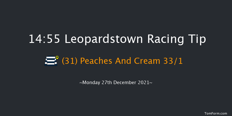 Leopardstown 14:55 Handicap Chase 24f Sun 26th Dec 2021