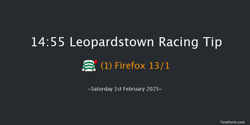 Leopardstown  14:55 Maiden Chase 17f Sun 29th Dec 2024