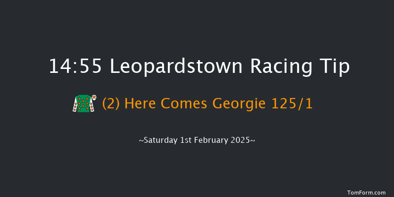 Leopardstown  14:55 Maiden Chase 17f Sun 29th Dec 2024