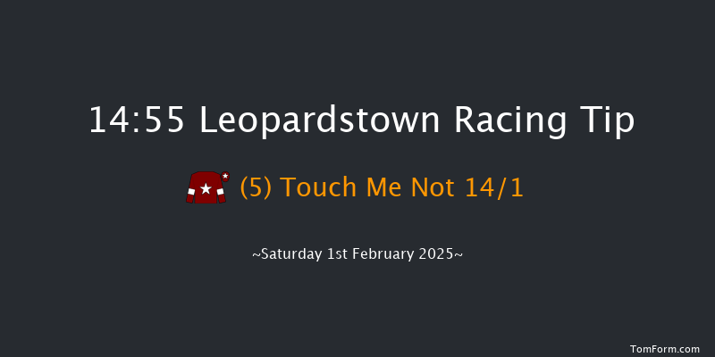 Leopardstown  14:55 Maiden Chase 17f Sun 29th Dec 2024
