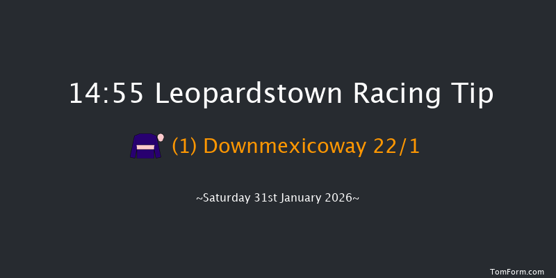 Leopardstown 14-55 (Class 1) 17f Mon 29th Dec 2025