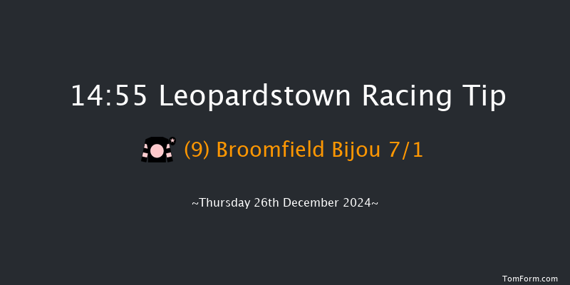 Leopardstown  14:55 Handicap Chase 17f Sun 20th Oct 2024