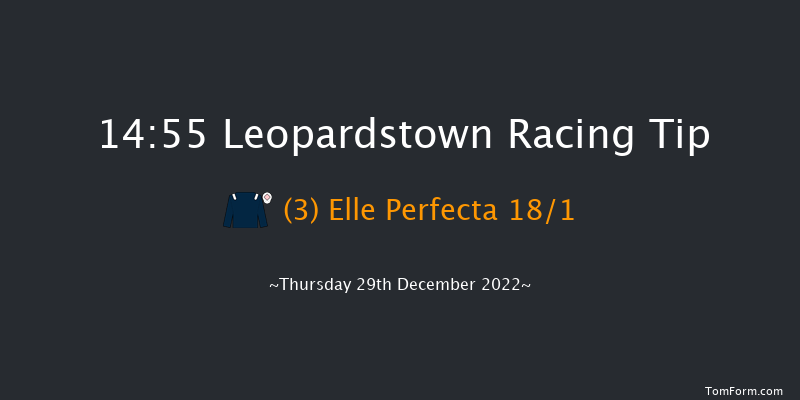 Leopardstown 14:55 Handicap Hurdle 20f Wed 28th Dec 2022